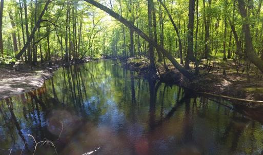 Photo #9 of NC 210 Hwy W, Garland, NC 166.0 acres