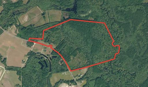 Photo #1 of NC 210 Hwy W, Garland, NC 166.0 acres