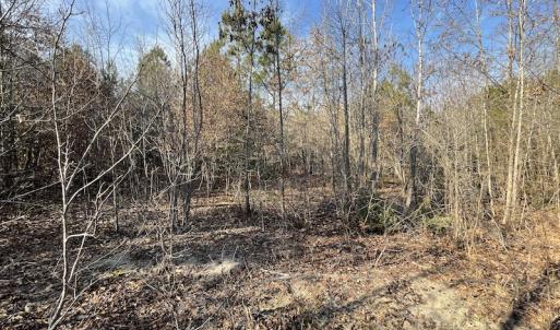 Photo #16 of SOLD property in Off Deer Ridge Road, Spring Grove, VA 29.9 acres