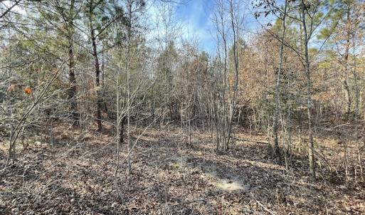 Photo #17 of SOLD property in Off Deer Ridge Road, Spring Grove, VA 29.9 acres