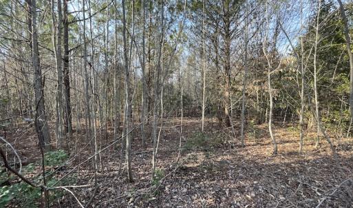 Photo #18 of SOLD property in Off Deer Ridge Road, Spring Grove, VA 29.9 acres