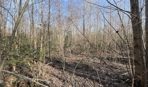 Photo #19 of SOLD property in Off Deer Ridge Road, Spring Grove, VA 29.9 acres