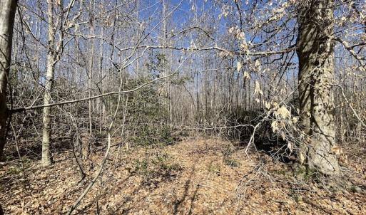 Photo #20 of SOLD property in Off Deer Ridge Road, Spring Grove, VA 29.9 acres