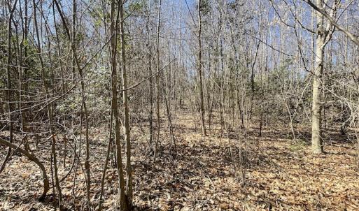 Photo #21 of SOLD property in Off Deer Ridge Road, Spring Grove, VA 29.9 acres