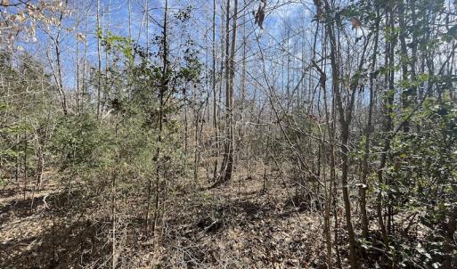 Photo #22 of SOLD property in Off Deer Ridge Road, Spring Grove, VA 29.9 acres