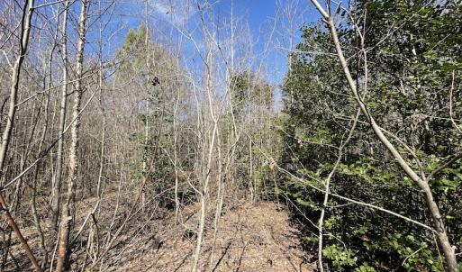 Photo #23 of SOLD property in Off Deer Ridge Road, Spring Grove, VA 29.9 acres