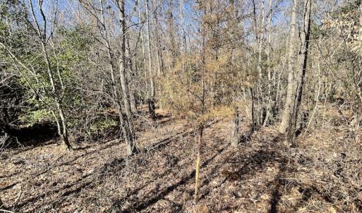 Photo #24 of SOLD property in Off Deer Ridge Road, Spring Grove, VA 29.9 acres