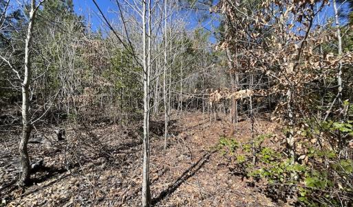 Photo #25 of SOLD property in Off Deer Ridge Road, Spring Grove, VA 29.9 acres