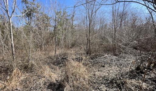 Photo #26 of SOLD property in Off Deer Ridge Road, Spring Grove, VA 29.9 acres