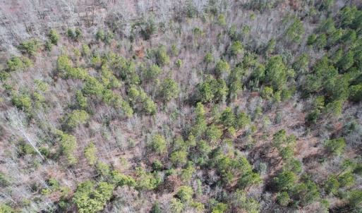 Photo #5 of SOLD property in Off Deer Ridge Road, Spring Grove, VA 29.9 acres