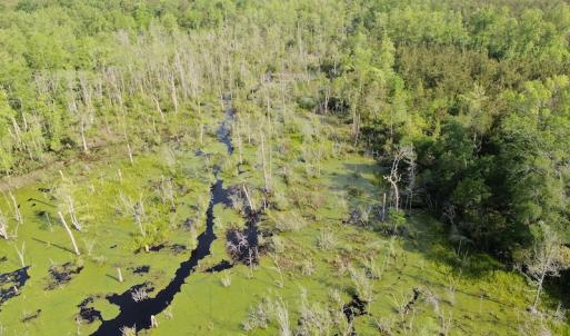 Photo #6 of 327 McGregor Road, McColl, SC 75.0 acres