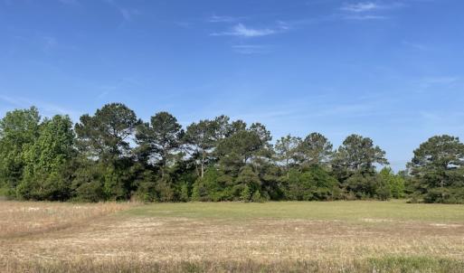 Photo #11 of 327 McGregor Road, McColl, SC 75.0 acres