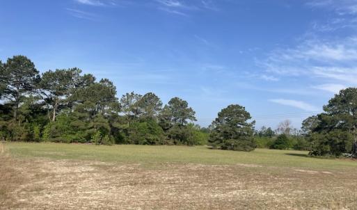 Photo #13 of 327 McGregor Road, McColl, SC 75.0 acres