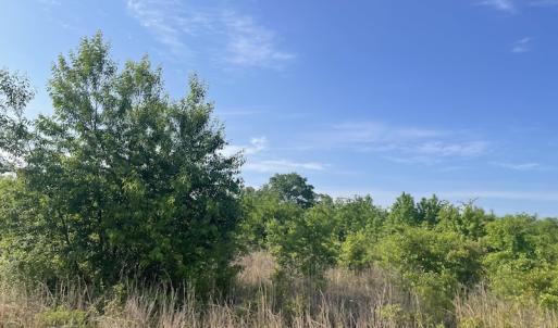 Photo #9 of 327 McGregor Road, McColl, SC 75.0 acres
