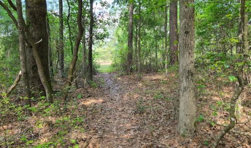 Photo #12 of SOLD property in 4354 Harrells Hwy, Garland, NC 17.0 acres