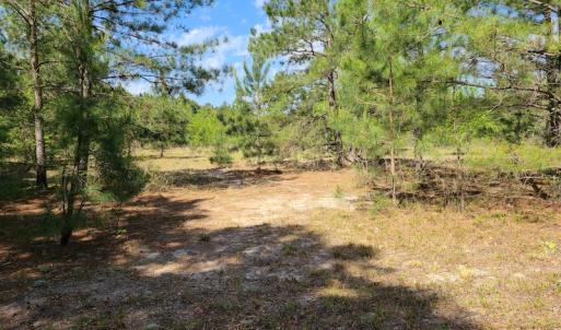 Photo #14 of SOLD property in 4354 Harrells Hwy, Garland, NC 17.0 acres