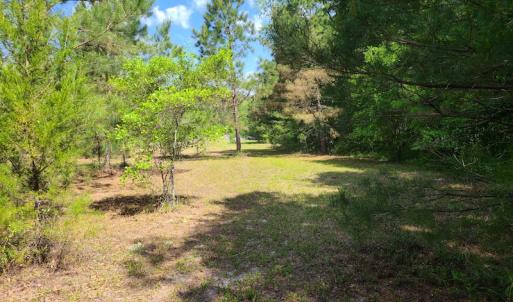 Photo #16 of SOLD property in 4354 Harrells Hwy, Garland, NC 17.0 acres