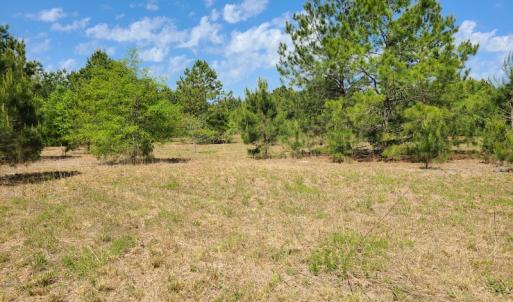 Photo #19 of SOLD property in 4354 Harrells Hwy, Garland, NC 17.0 acres