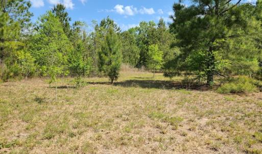 Photo #20 of SOLD property in 4354 Harrells Hwy, Garland, NC 17.0 acres