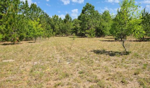 Photo #21 of SOLD property in 4354 Harrells Hwy, Garland, NC 17.0 acres