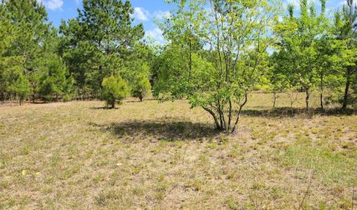 Photo #22 of SOLD property in 4354 Harrells Hwy, Garland, NC 17.0 acres
