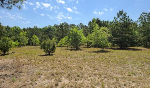 Photo #23 of SOLD property in 4354 Harrells Hwy, Garland, NC 17.0 acres