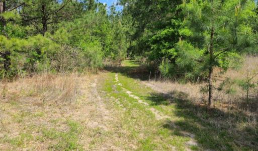 Photo #24 of SOLD property in 4354 Harrells Hwy, Garland, NC 17.0 acres