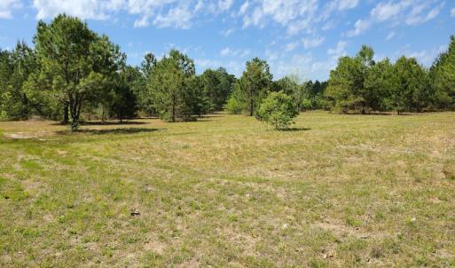 Photo #25 of SOLD property in 4354 Harrells Hwy, Garland, NC 17.0 acres