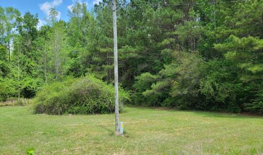 Photo #35 of SOLD property in 4354 Harrells Hwy, Garland, NC 17.0 acres