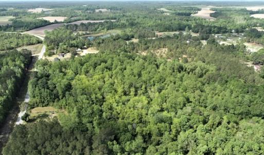 Photo #4 of SOLD property in 4354 Harrells Hwy, Garland, NC 17.0 acres