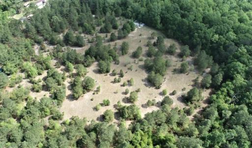 Photo #6 of SOLD property in 4354 Harrells Hwy, Garland, NC 17.0 acres