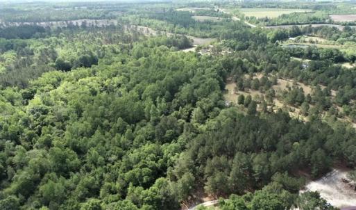Photo #7 of SOLD property in 4354 Harrells Hwy, Garland, NC 17.0 acres