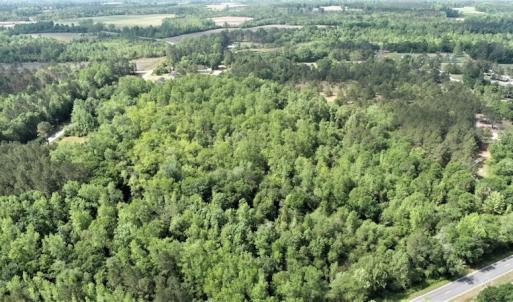 Photo #8 of SOLD property in 4354 Harrells Hwy, Garland, NC 17.0 acres
