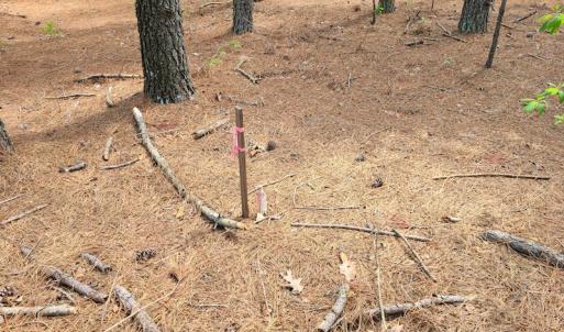 Photo #50 of SOLD property in 4354 Harrells Hwy, Garland, NC 17.0 acres