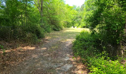 Photo #9 of SOLD property in 4354 Harrells Hwy, Garland, NC 17.0 acres