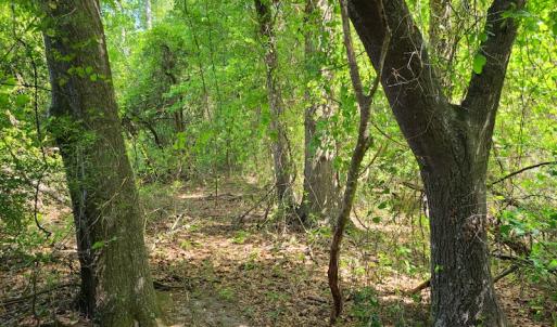 Photo #43 of SOLD property in 4354 Harrells Hwy, Garland, NC 17.0 acres