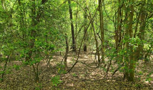 Photo #44 of SOLD property in 4354 Harrells Hwy, Garland, NC 17.0 acres