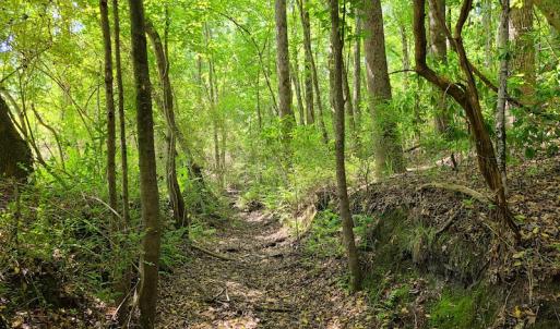 Photo #47 of SOLD property in 4354 Harrells Hwy, Garland, NC 17.0 acres