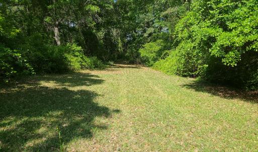 Photo #17 of SOLD property in 4354 Harrells Hwy, Garland, NC 17.0 acres