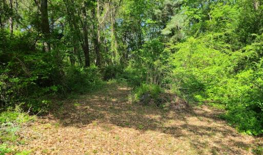 Photo #10 of SOLD property in 4354 Harrells Hwy, Garland, NC 17.0 acres
