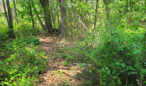 Photo #11 of SOLD property in 4354 Harrells Hwy, Garland, NC 17.0 acres