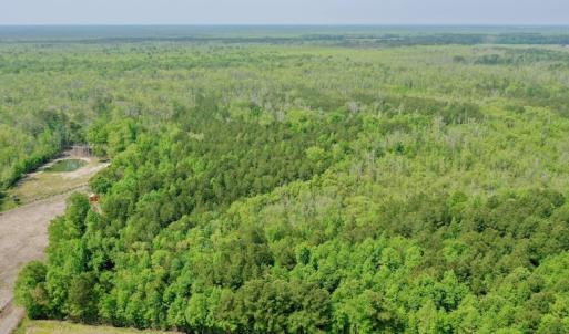 Photo #6 of Off Caratoke Hwy, Barco, NC 23.0 acres