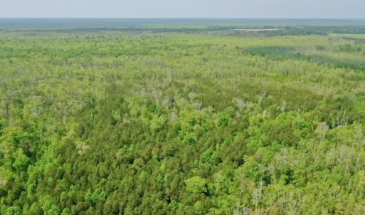 Photo #11 of Off Caratoke Hwy, Barco, NC 23.0 acres