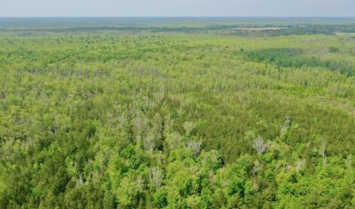 Photo #12 of Off Caratoke Hwy, Barco, NC 23.0 acres