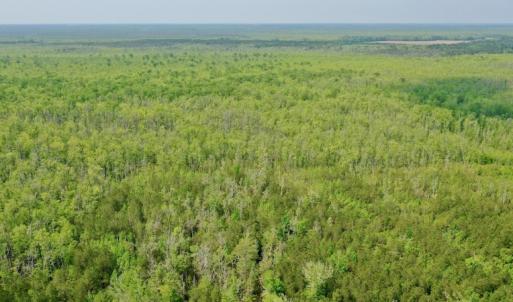 Photo #13 of Off Caratoke Hwy, Barco, NC 23.0 acres