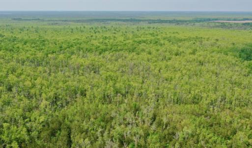 Photo #14 of Off Caratoke Hwy, Barco, NC 23.0 acres