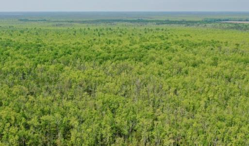 Photo #15 of Off Caratoke Hwy, Barco, NC 23.0 acres