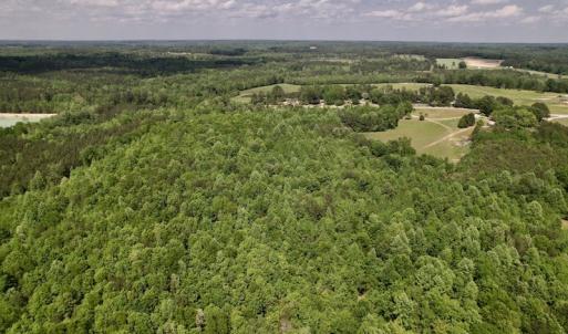 Photo #13 of SOLD property in Off East River Road, Louisburg, NC 10.1 acres
