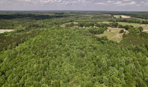 Photo #13 of SOLD property in Off East River Road, Louisburg, NC 10.1 acres
