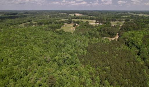 Photo #14 of SOLD property in Off East River Road, Louisburg, NC 10.1 acres